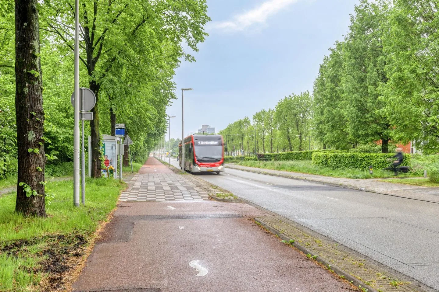Ds Theodor Fliednerstraat 153 Eindhoven thumbnail 23