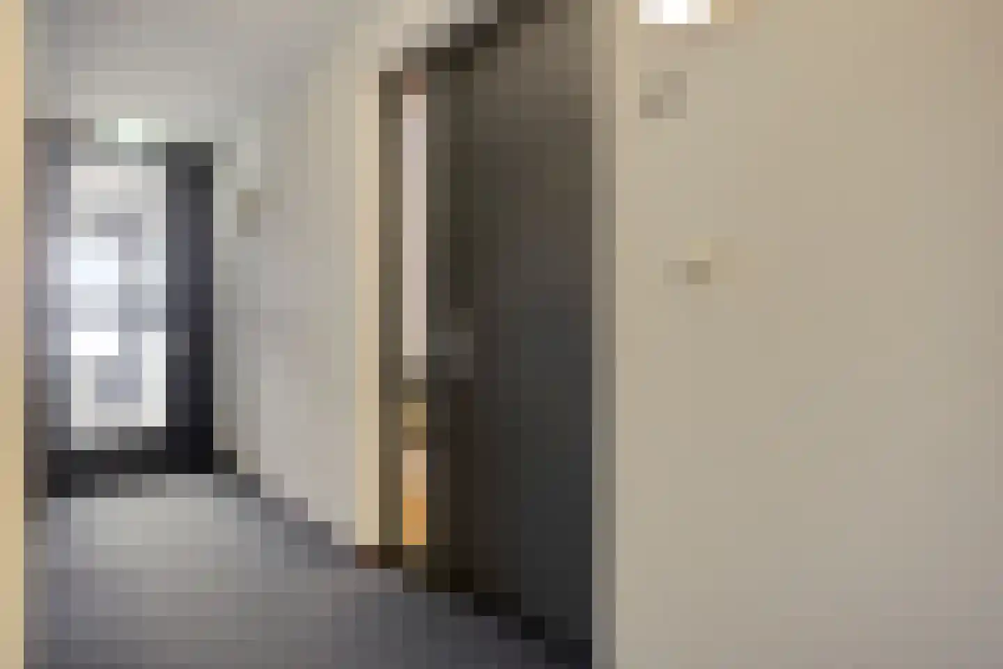 Ds Theodor Fliednerstraat 223 Eindhoven thumbnail 12
