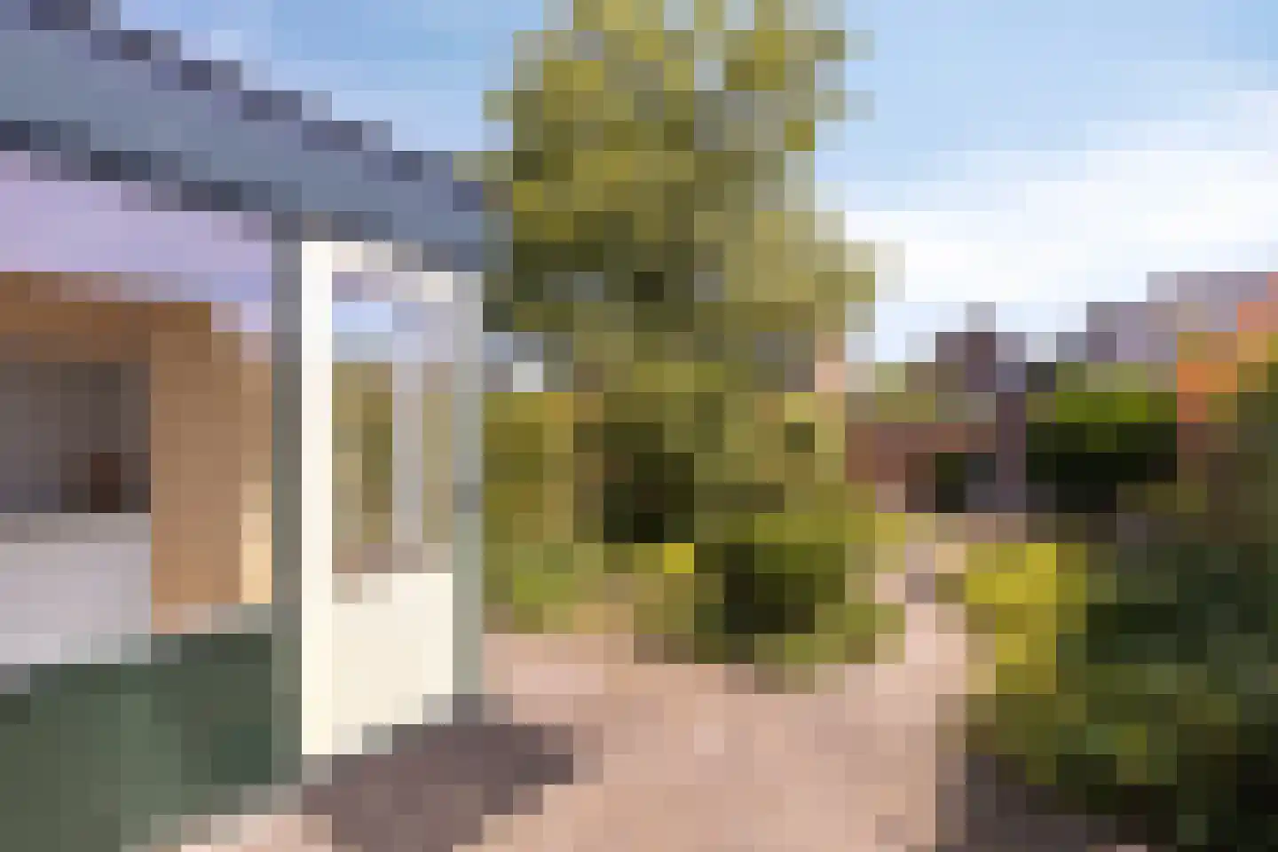 Ds. Ulferslaan 14 Tienhoven thumbnail 26