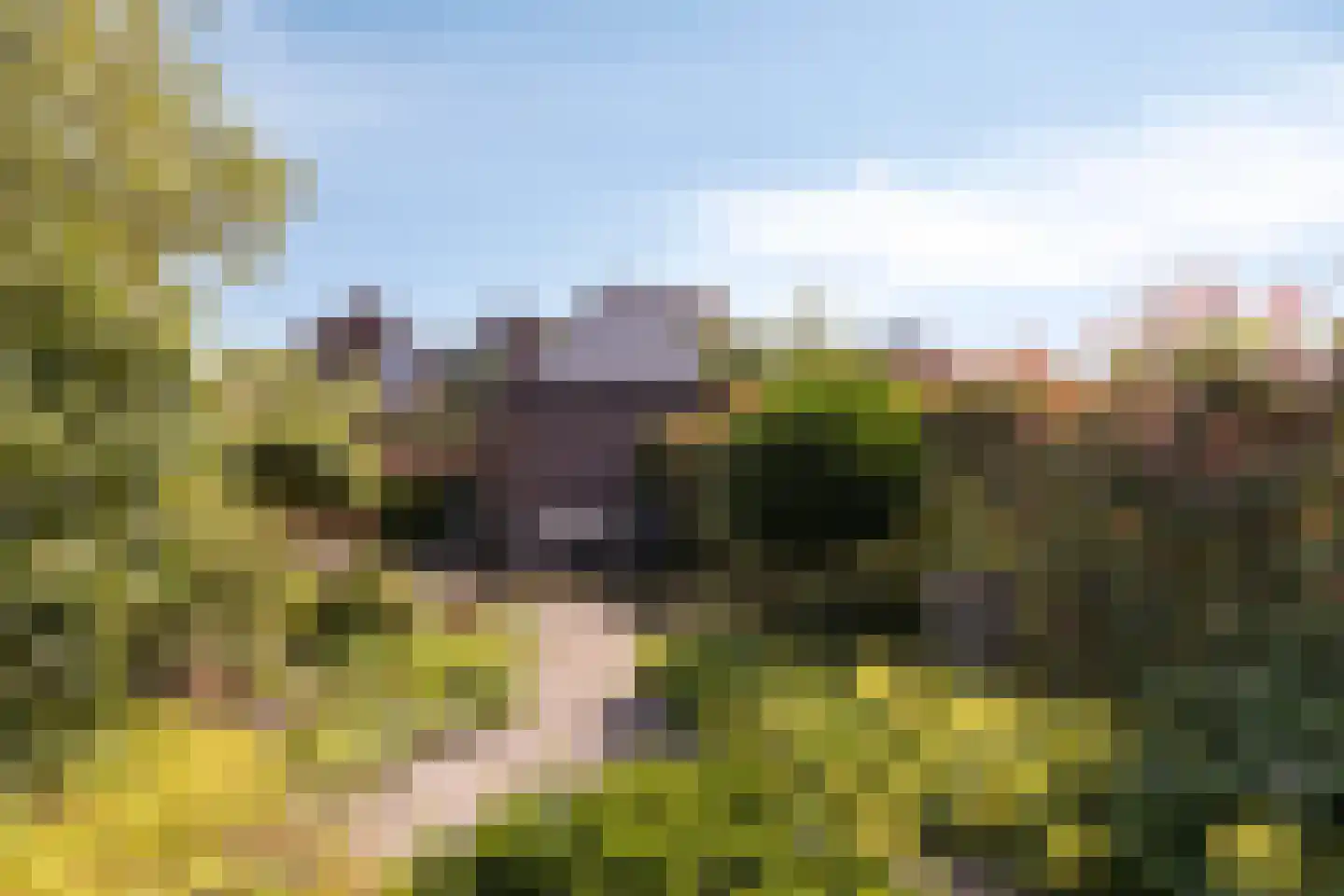 Ds. Ulferslaan 14 Tienhoven thumbnail 27