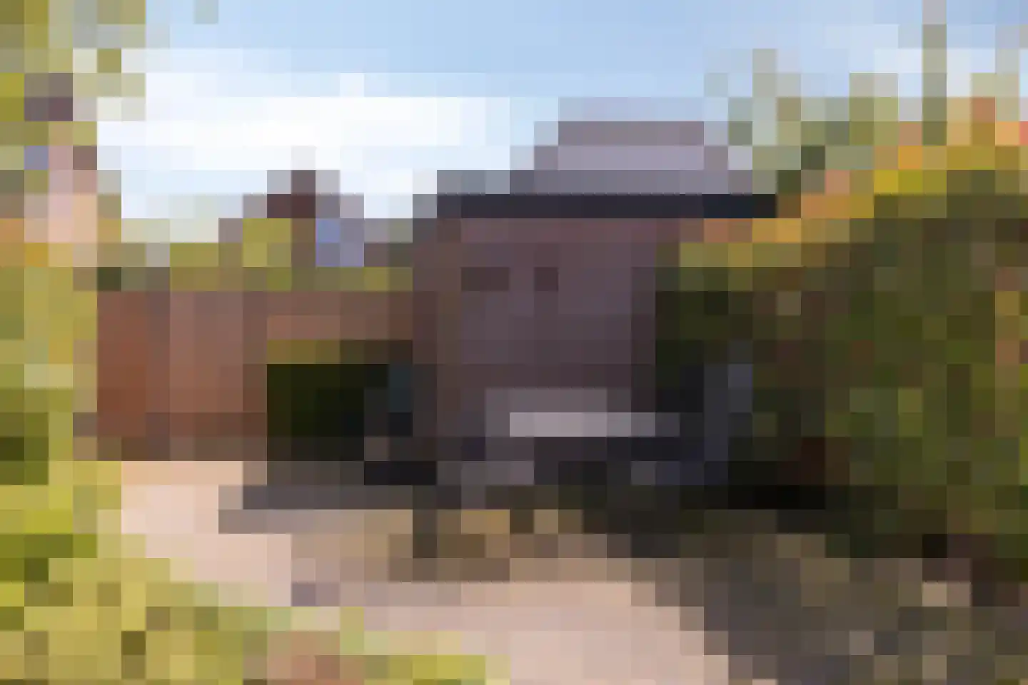 Ds. Ulferslaan 14 Tienhoven thumbnail 28