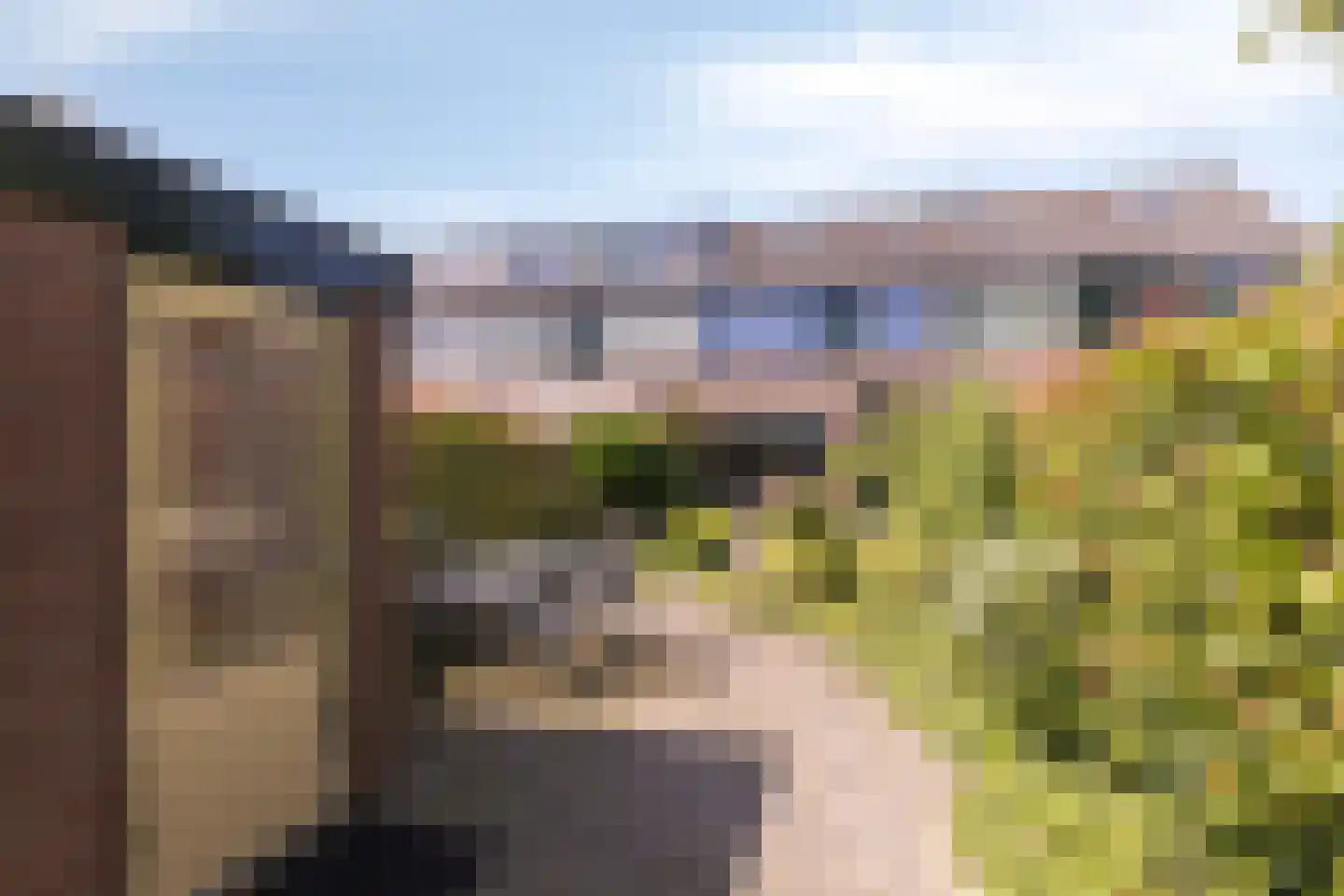 Ds. Ulferslaan 14 Tienhoven thumbnail 30