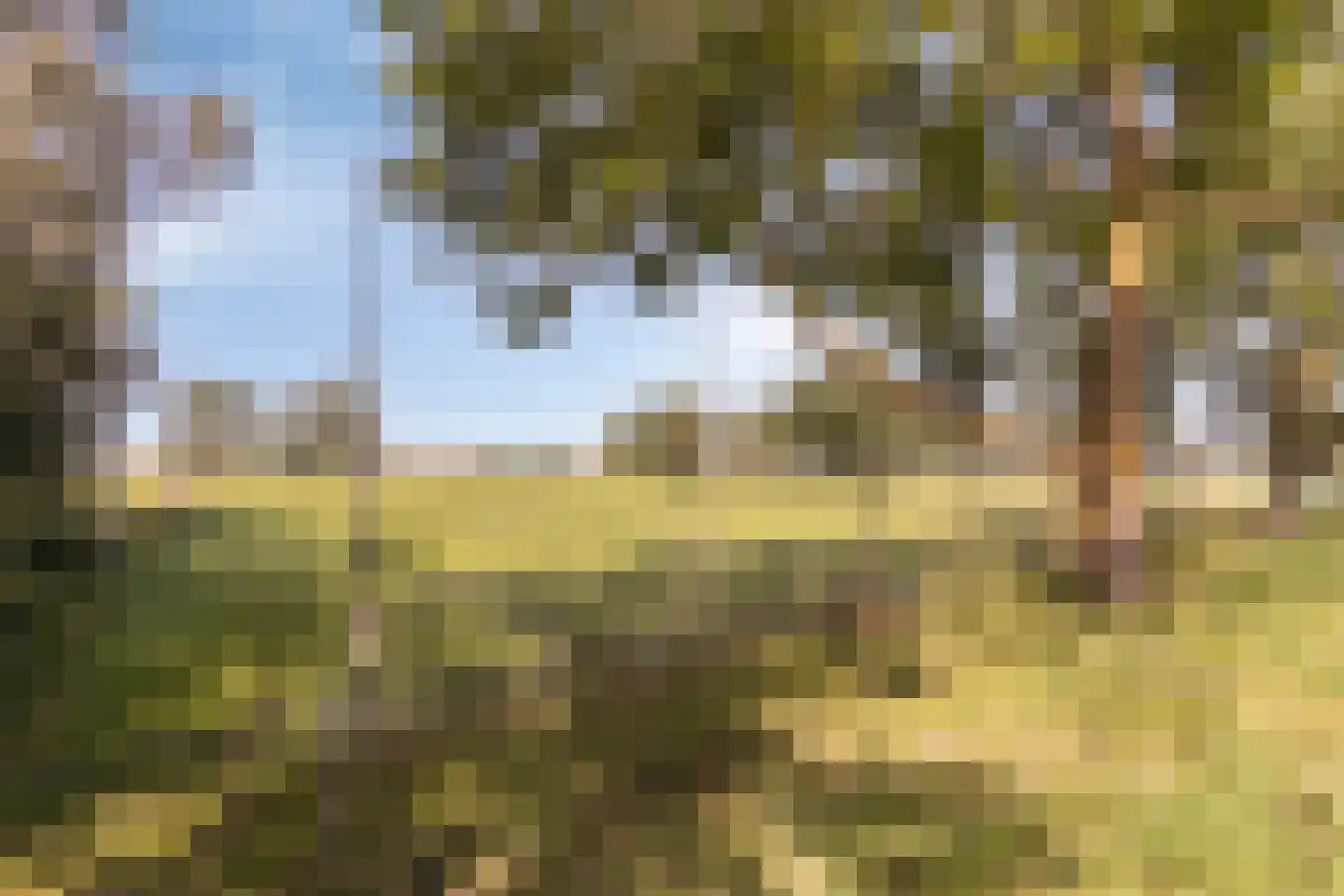 Ds. Ulferslaan 14 Tienhoven thumbnail 33