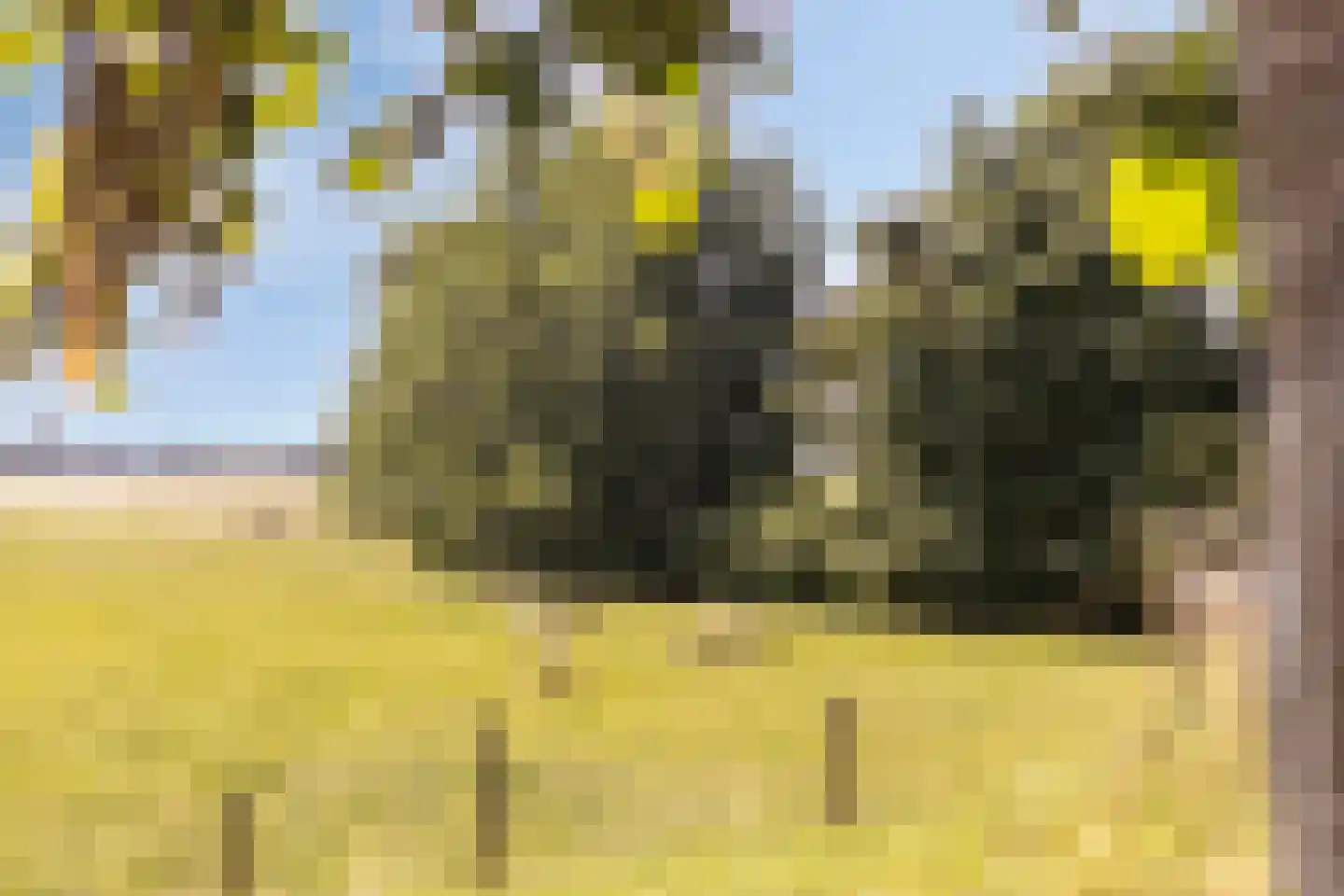 Ds. Ulferslaan 14 Tienhoven thumbnail 34