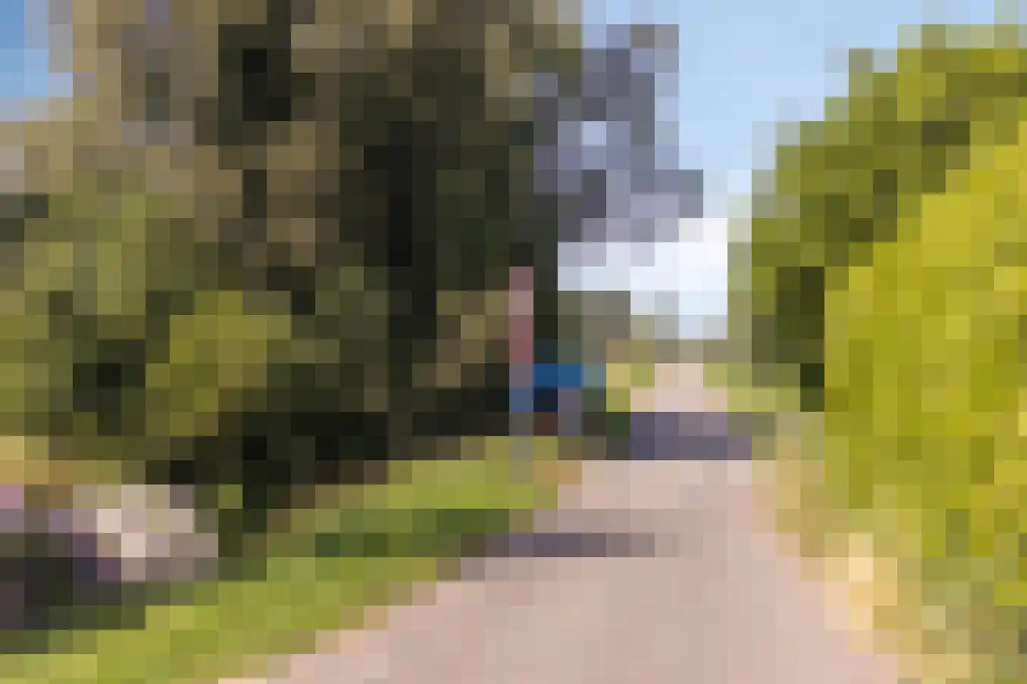 Ds. Ulferslaan 14 Tienhoven thumbnail 35