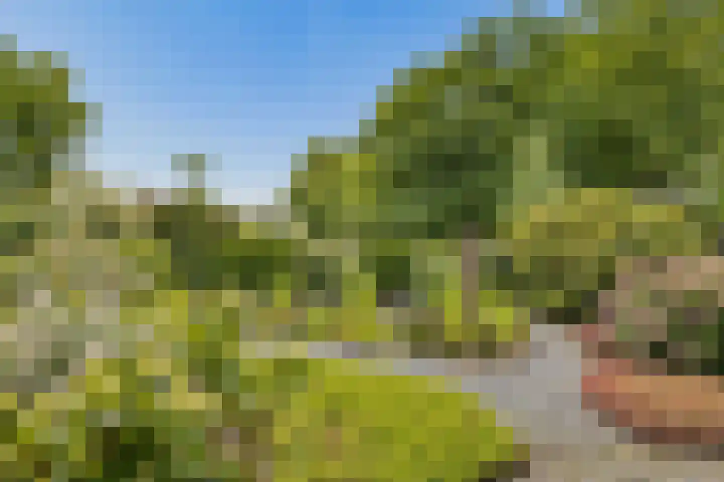 Ds v d Kraanplantsoen 3 Bunnik thumbnail 10