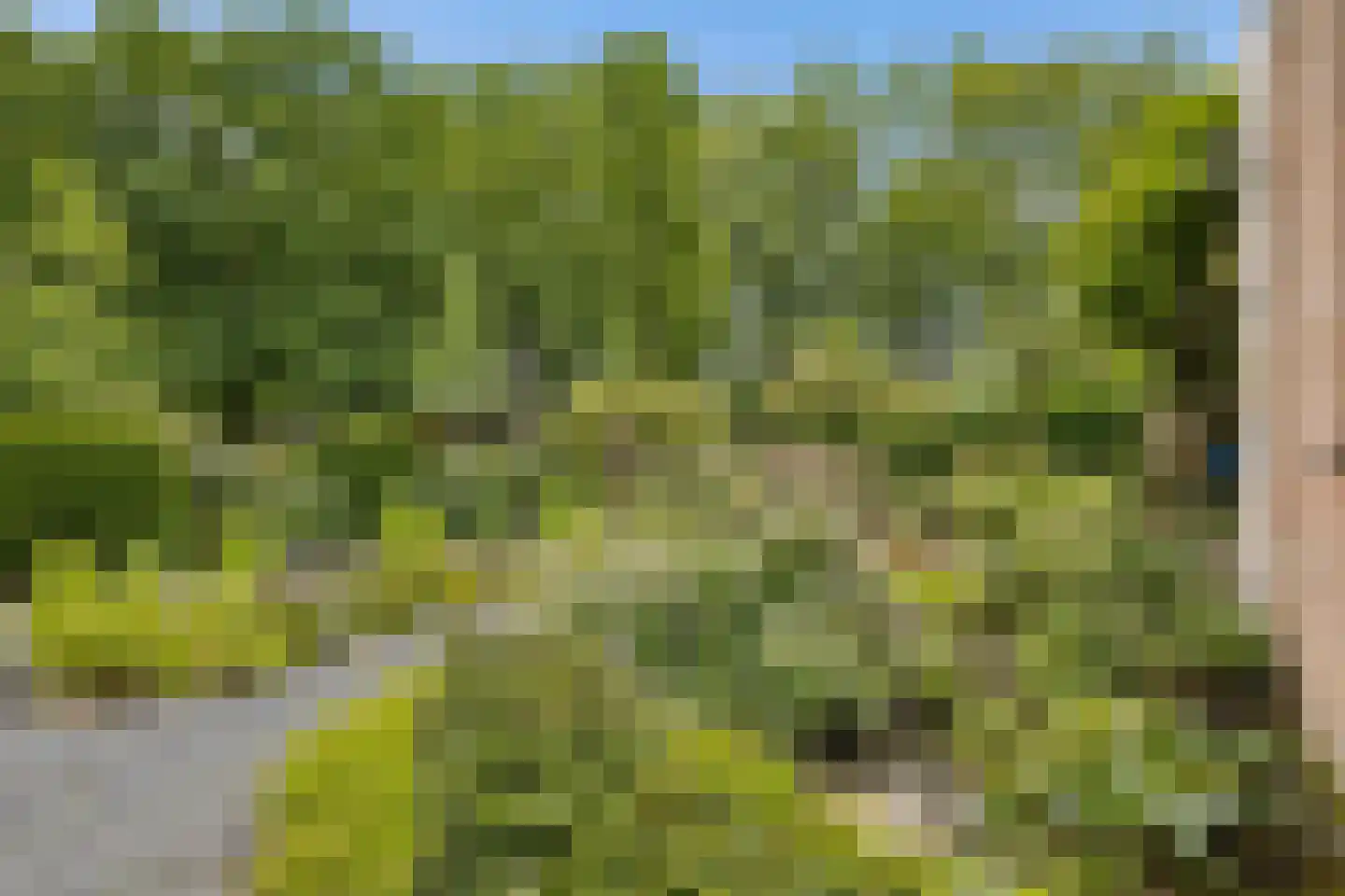 Ds v d Kraanplantsoen 3 Bunnik thumbnail 11