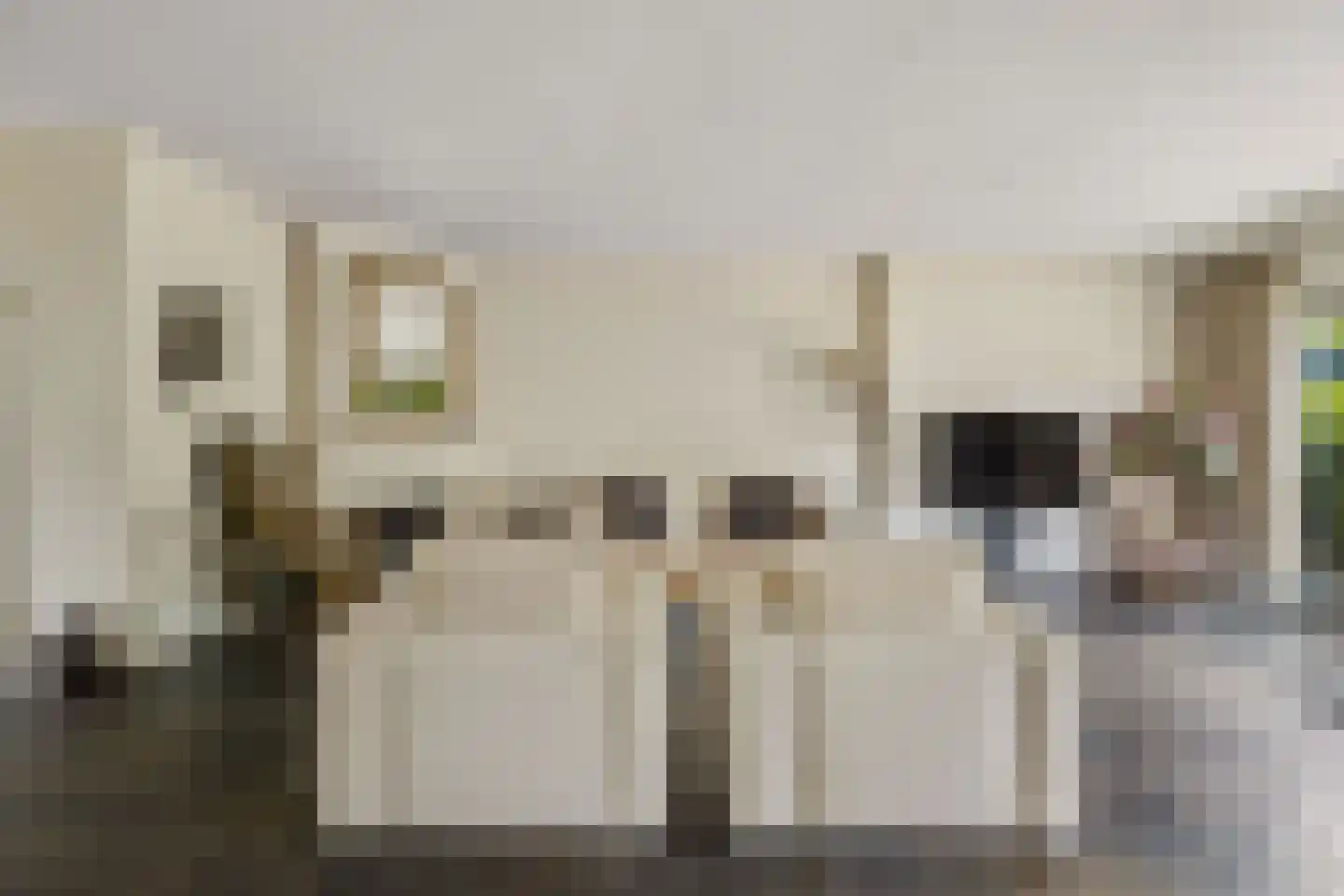 Ds v d Kraanplantsoen 3 Bunnik thumbnail 16
