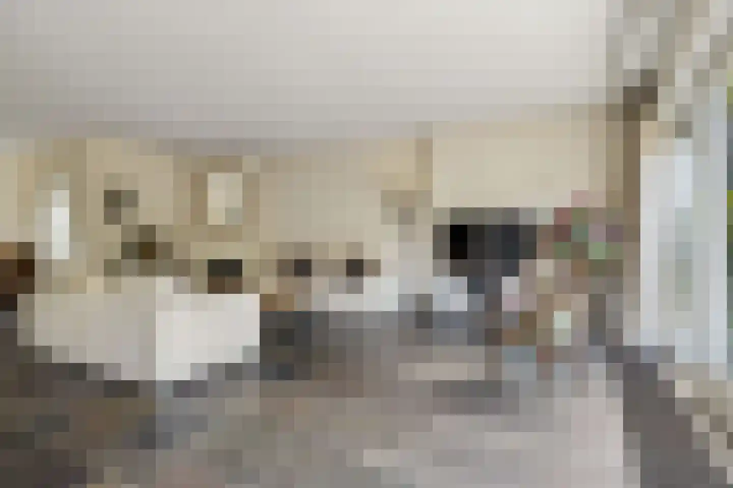Ds v d Kraanplantsoen 3 Bunnik thumbnail 17