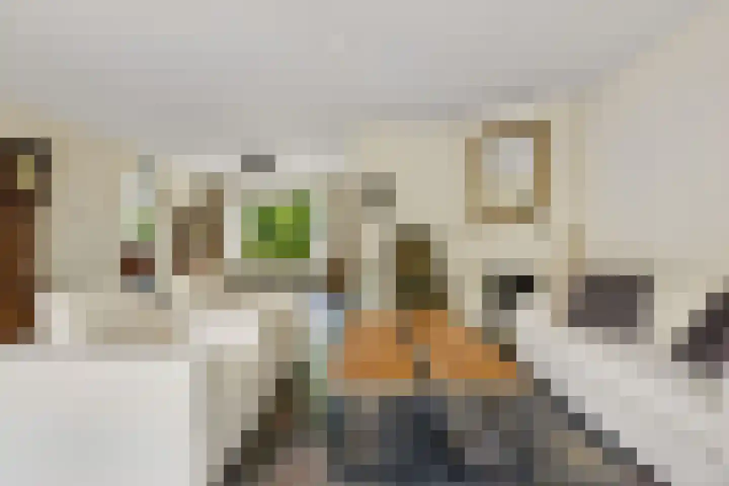 Ds v d Kraanplantsoen 3 Bunnik thumbnail 19