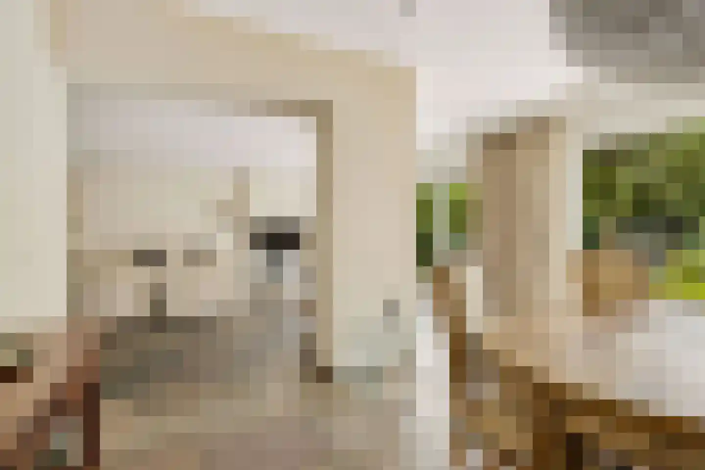 Ds v d Kraanplantsoen 3 Bunnik thumbnail 27