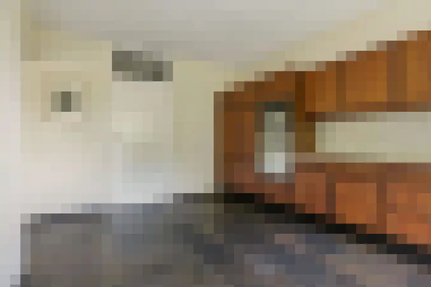 Ds v d Kraanplantsoen 3 Bunnik thumbnail 30