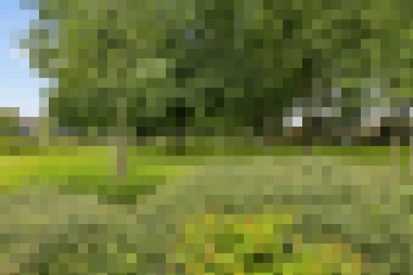 Ds v d Kraanplantsoen 3 Bunnik thumbnail 5