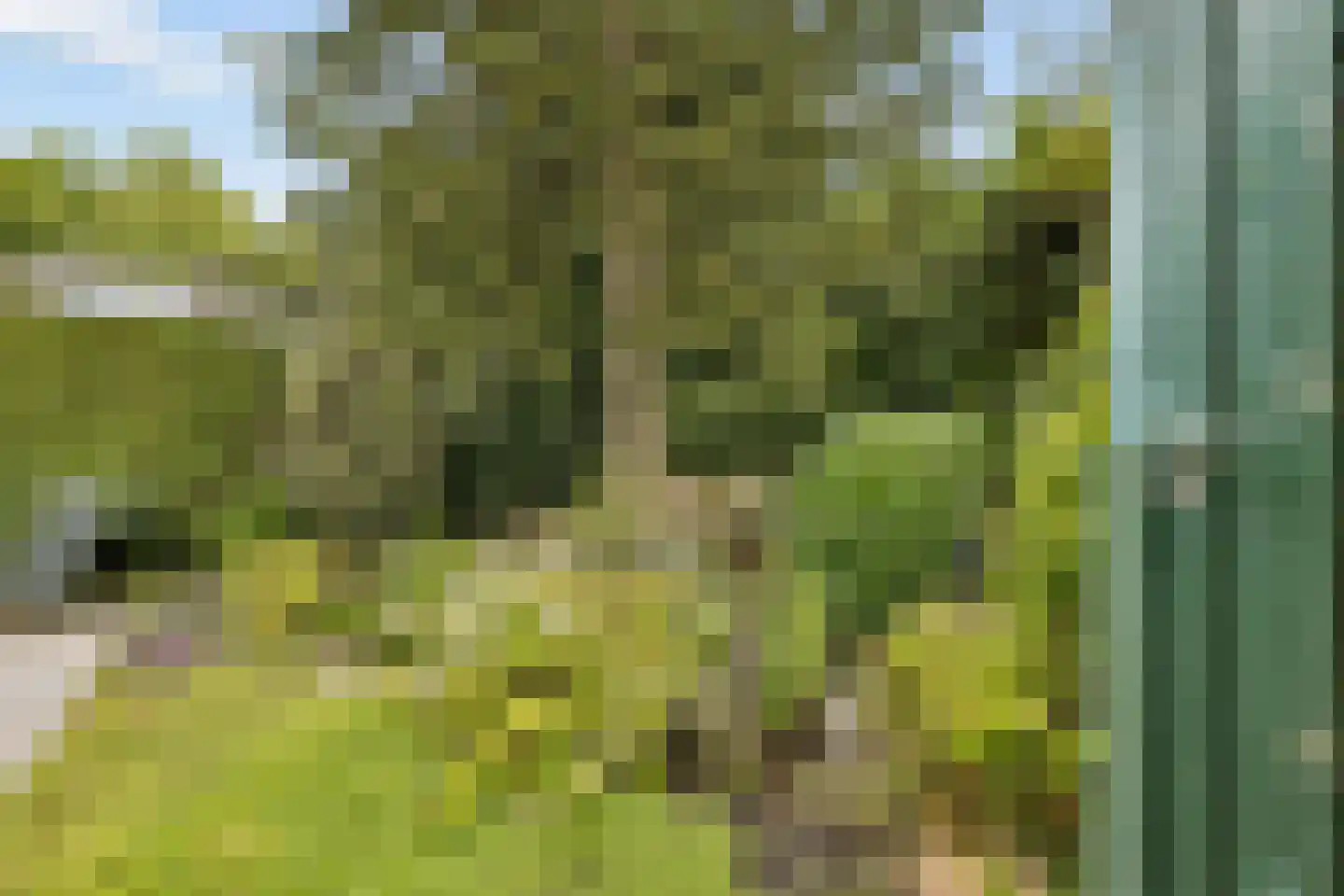 Ds v d Kraanplantsoen 3 Bunnik thumbnail 51