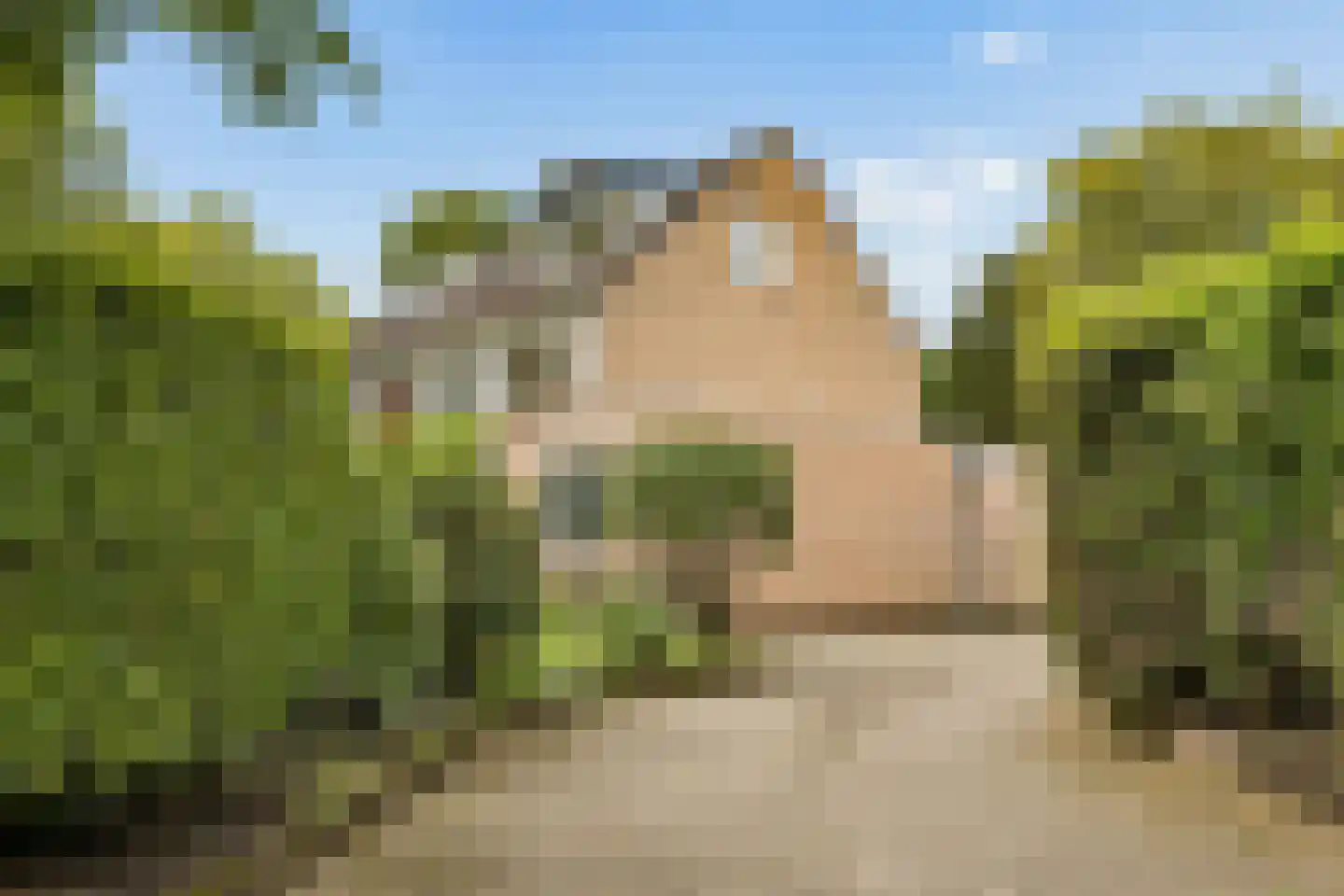 Ds v d Kraanplantsoen 3 Bunnik thumbnail 54