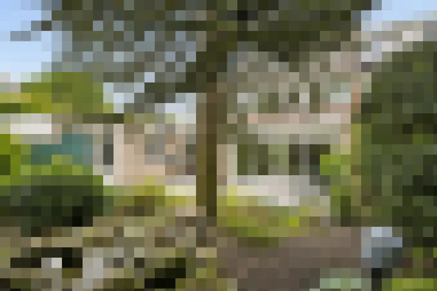 Ds v d Kraanplantsoen 3 Bunnik thumbnail 59