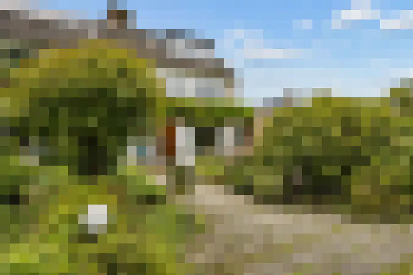 Ds v d Kraanplantsoen 3 Bunnik thumbnail 6