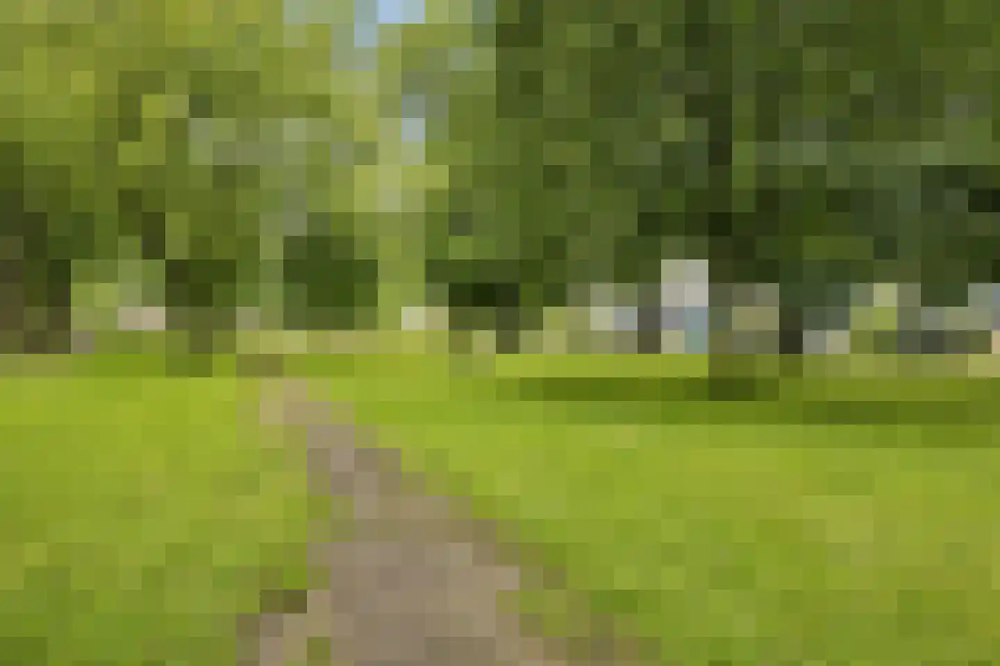 Ds v d Kraanplantsoen 3 Bunnik thumbnail 70