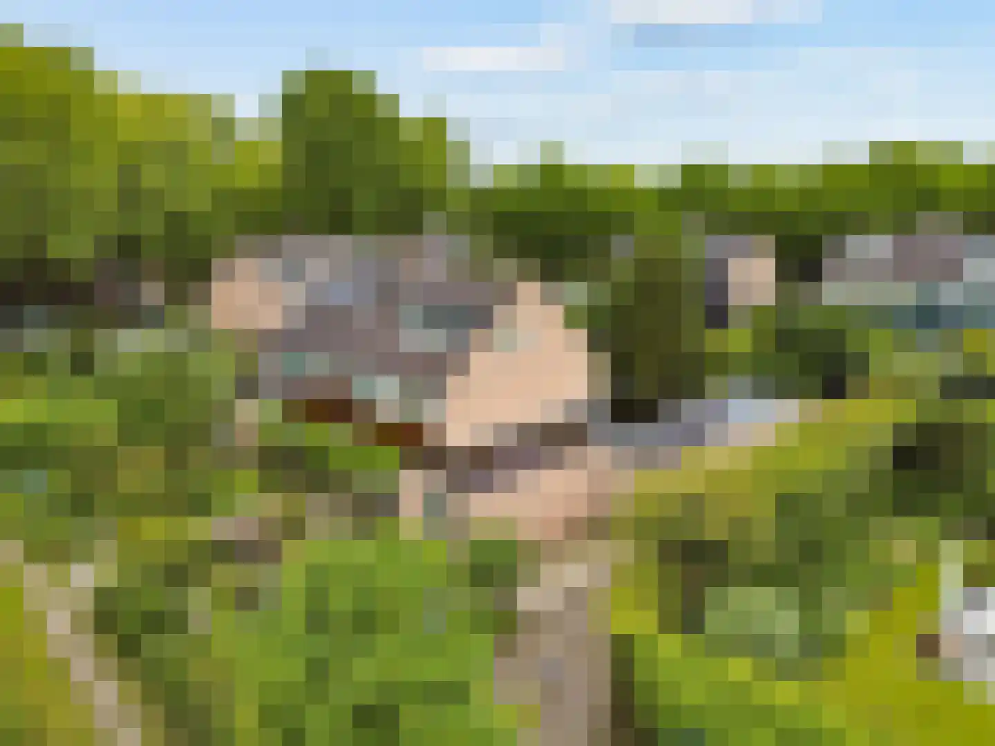 Ds v d Kraanplantsoen 3 Bunnik thumbnail 71
