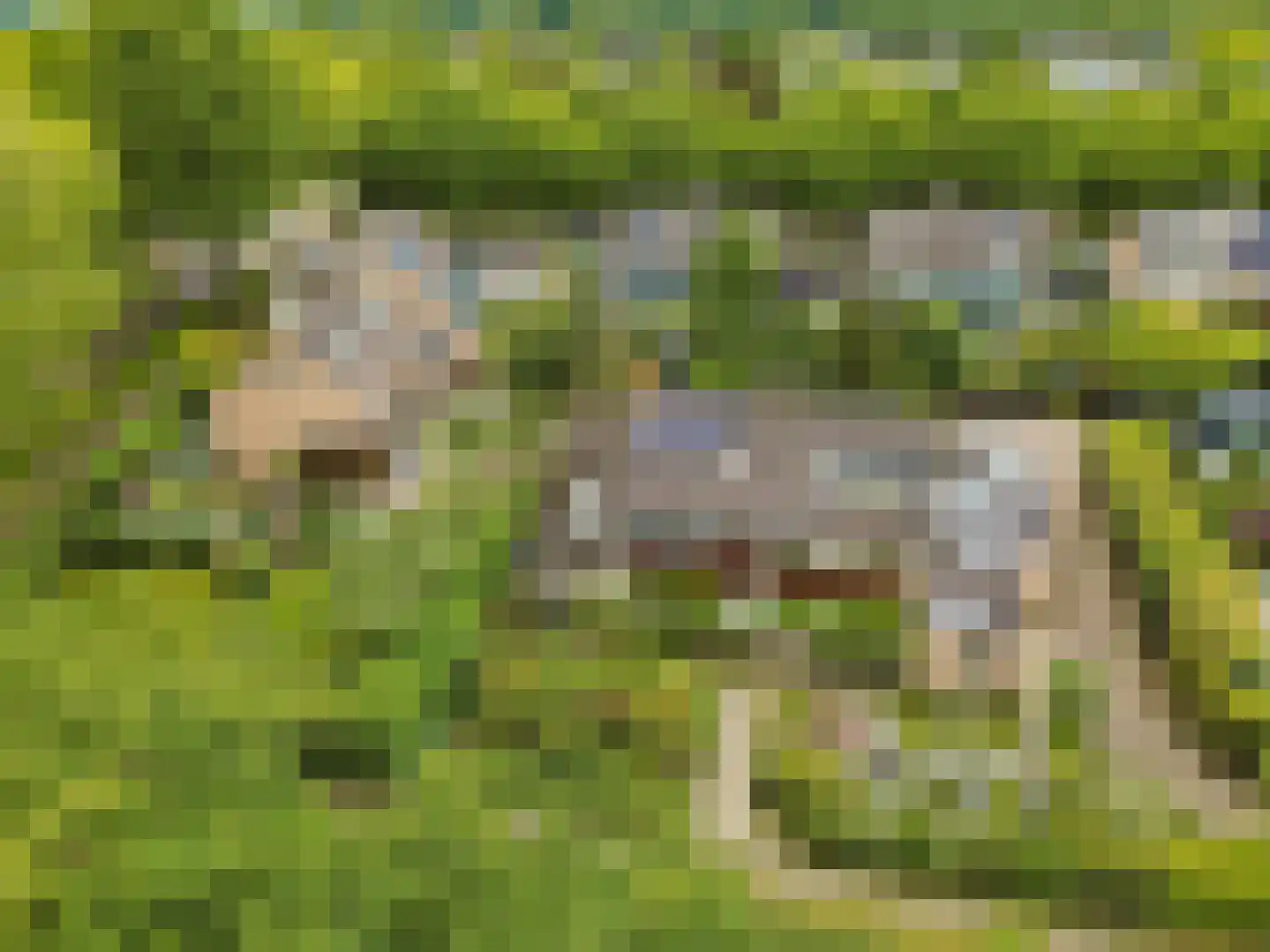 Ds v d Kraanplantsoen 3 Bunnik thumbnail 72