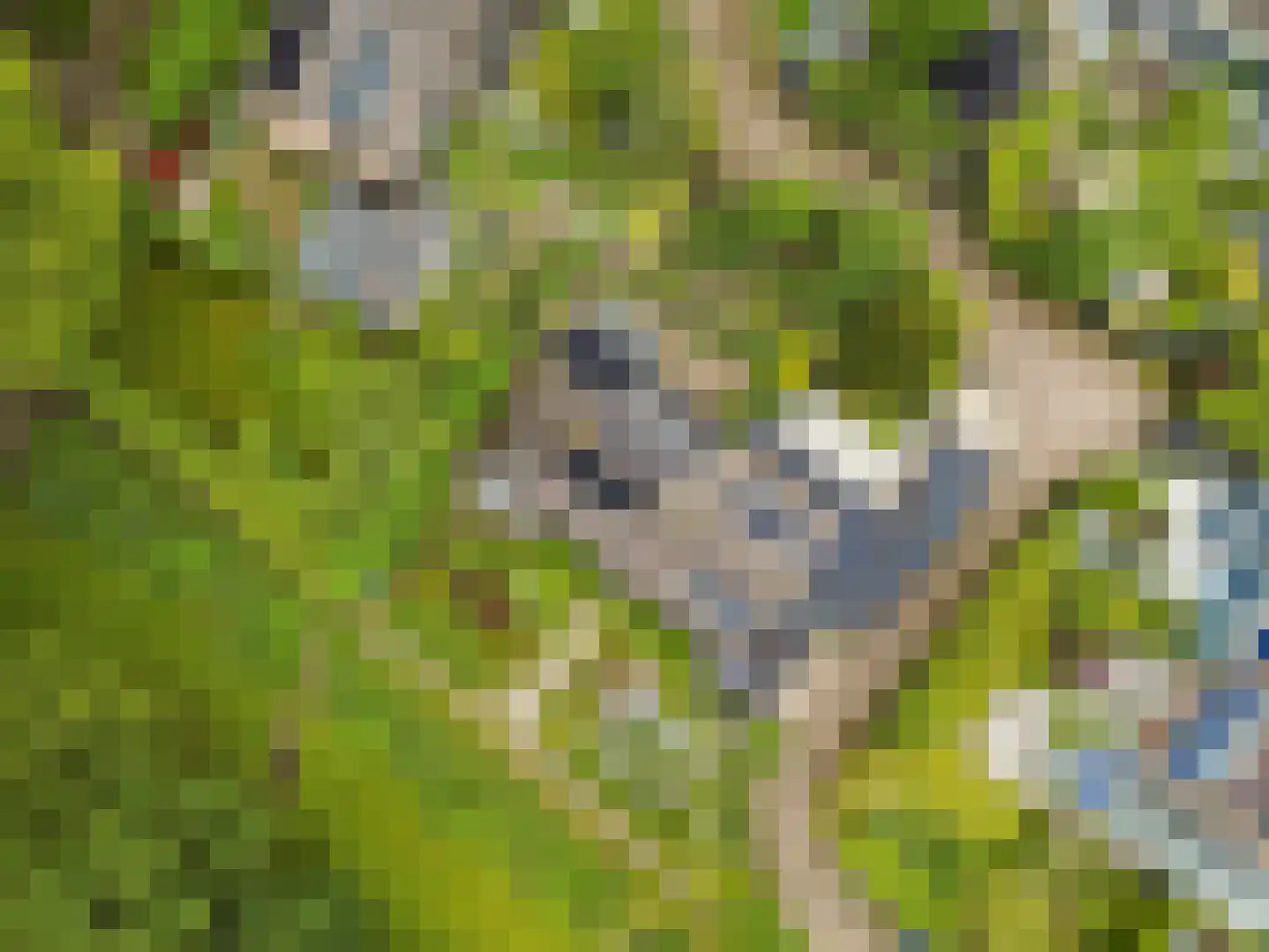 Ds v d Kraanplantsoen 3 Bunnik thumbnail 73