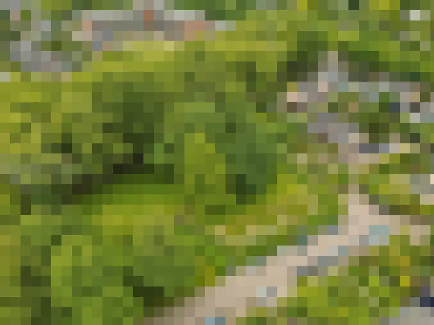 Ds v d Kraanplantsoen 3 Bunnik thumbnail 76