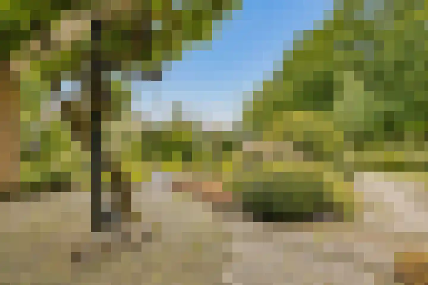 Ds v d Kraanplantsoen 3 Bunnik thumbnail 9