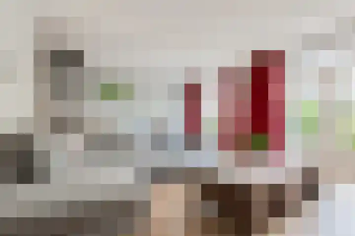Ds. van Couwenhovelaan 125 Bergschenhoek thumbnail 11