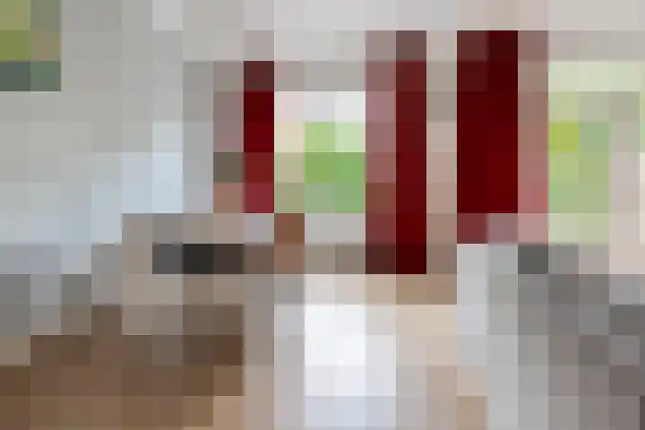 Ds. van Couwenhovelaan 125 Bergschenhoek thumbnail 14