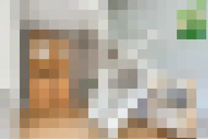 Ds. van Couwenhovelaan 125 Bergschenhoek thumbnail 16