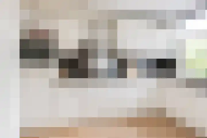 Ds. van Couwenhovelaan 125 Bergschenhoek thumbnail 17