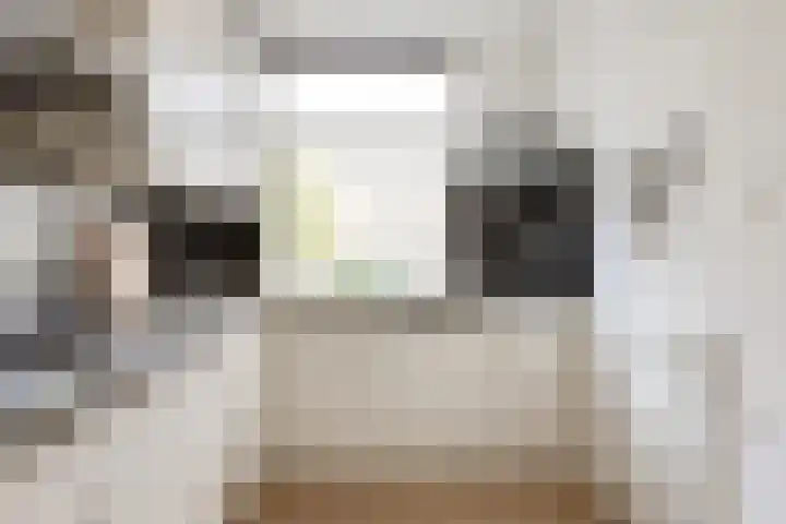 Ds. van Couwenhovelaan 125 Bergschenhoek thumbnail 18