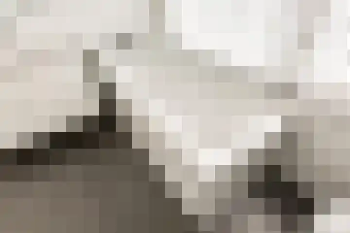 Ds. van Couwenhovelaan 125 Bergschenhoek thumbnail 31