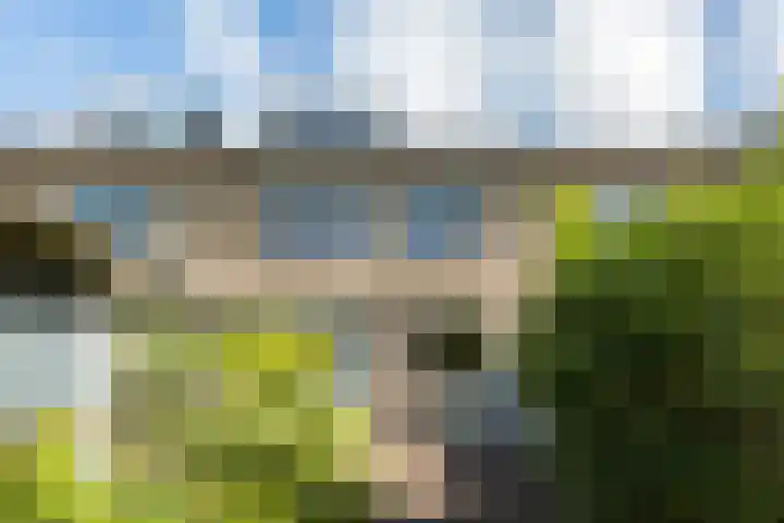 Ds. van Couwenhovelaan 125 Bergschenhoek thumbnail 42