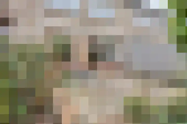 Ds. van Couwenhovelaan 127 Bergschenhoek thumbnail 11