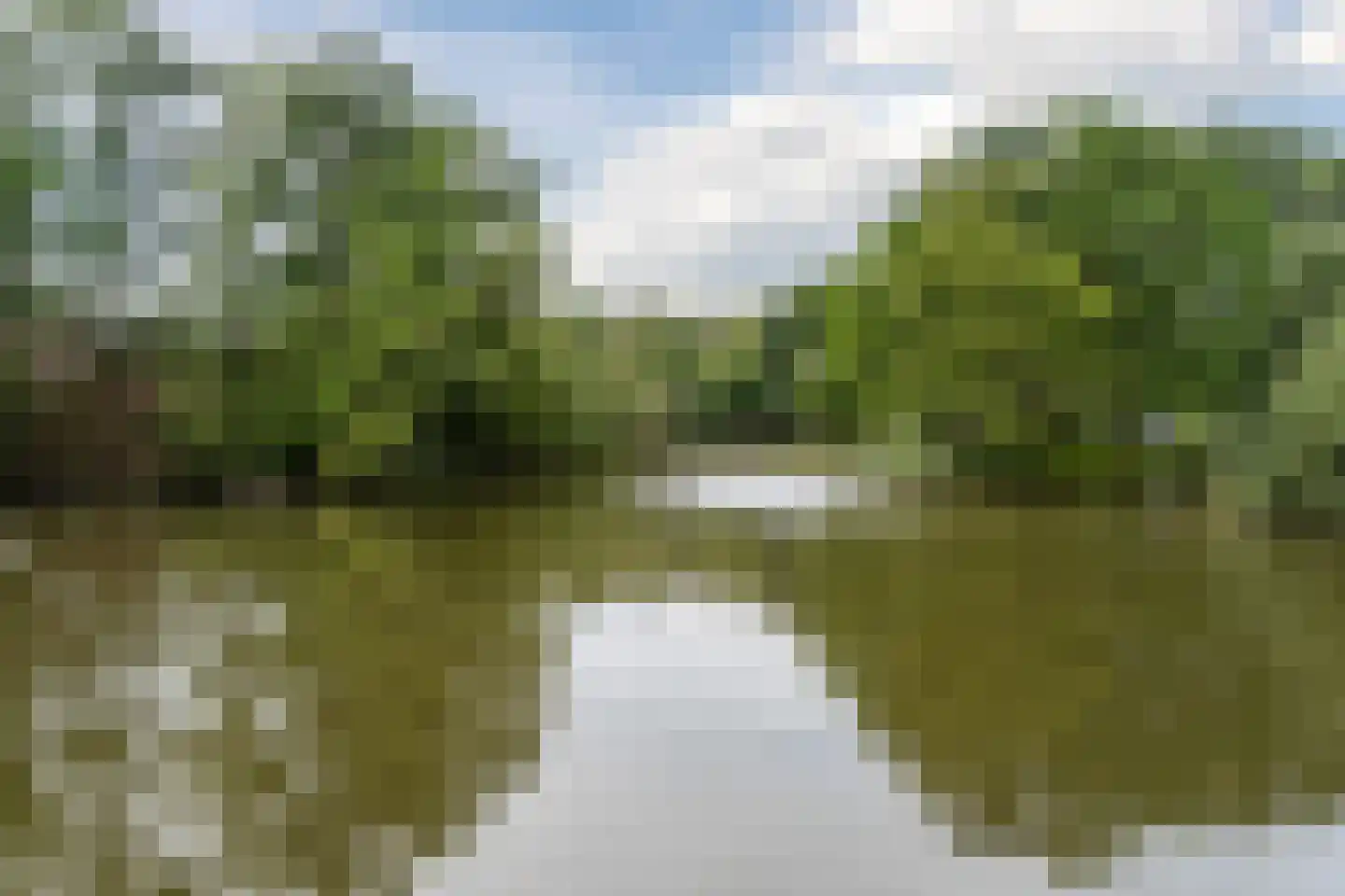 Ds. van Couwenhovelaan 188 Bergschenhoek thumbnail 44