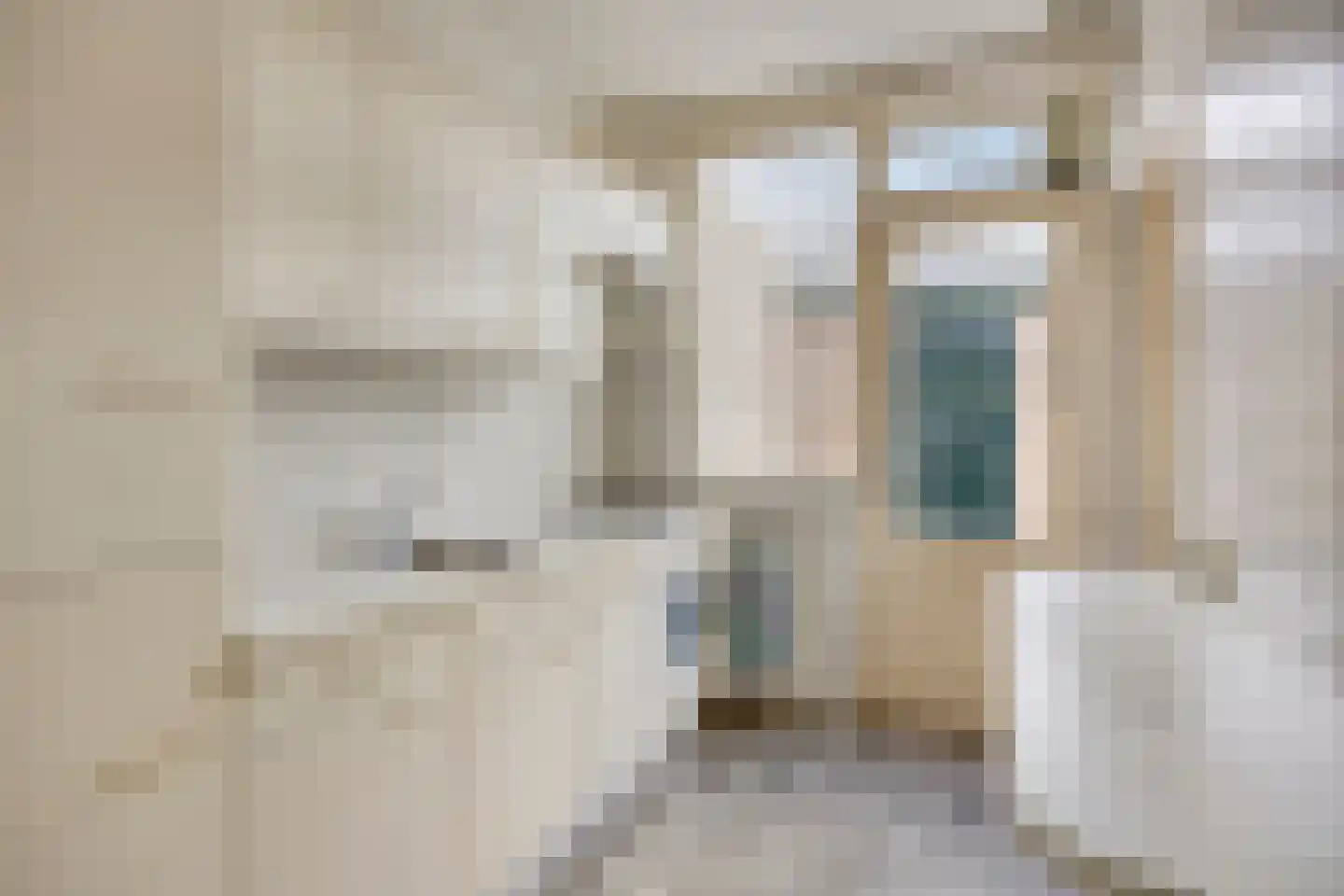 Ds. van Couwenhovelaan 63 Bergschenhoek thumbnail 11