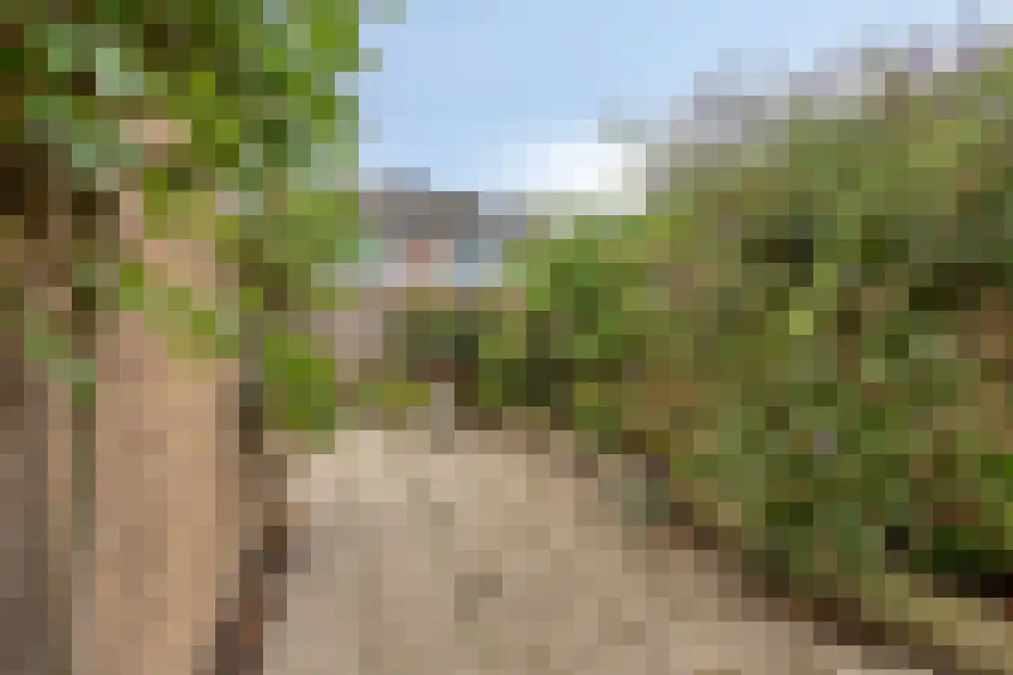 Ds. van Couwenhovelaan 63 Bergschenhoek thumbnail 13