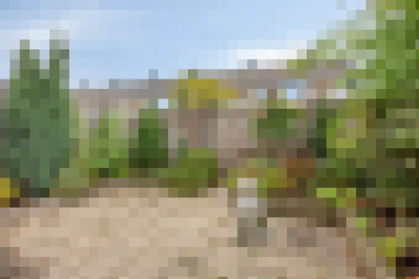 Ds. van Couwenhovelaan 63 Bergschenhoek thumbnail 14