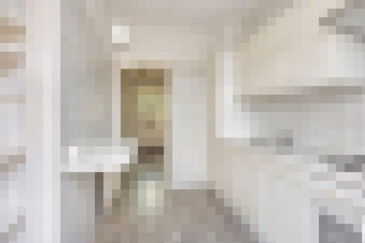 Ds. van Couwenhovelaan 63 Bergschenhoek thumbnail 17