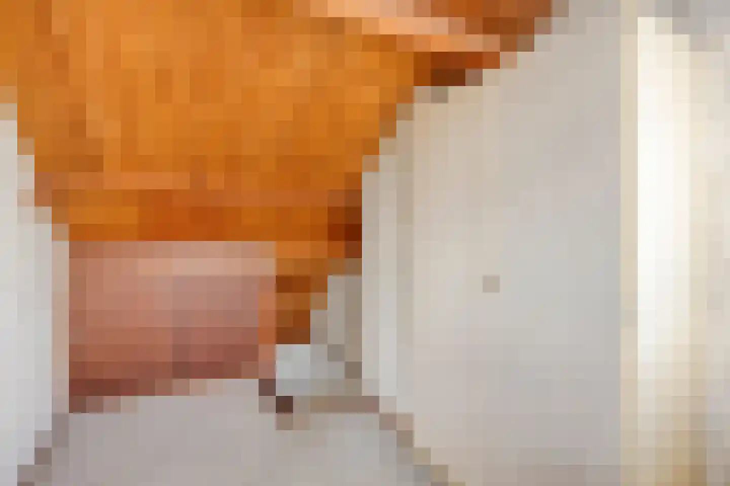 Ds. van Couwenhovelaan 63 Bergschenhoek thumbnail 31