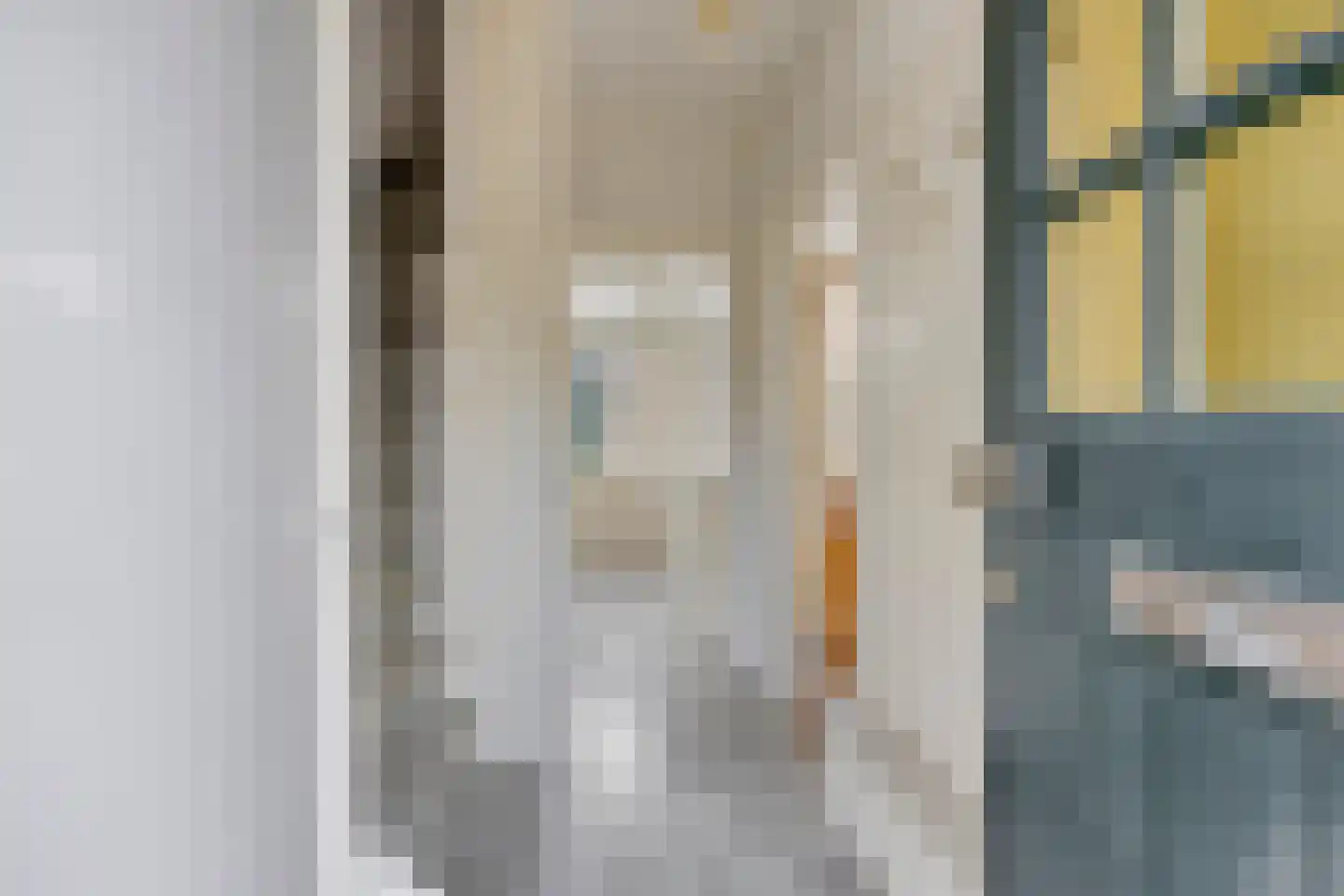 Ds. van Couwenhovelaan 63 Bergschenhoek thumbnail 5