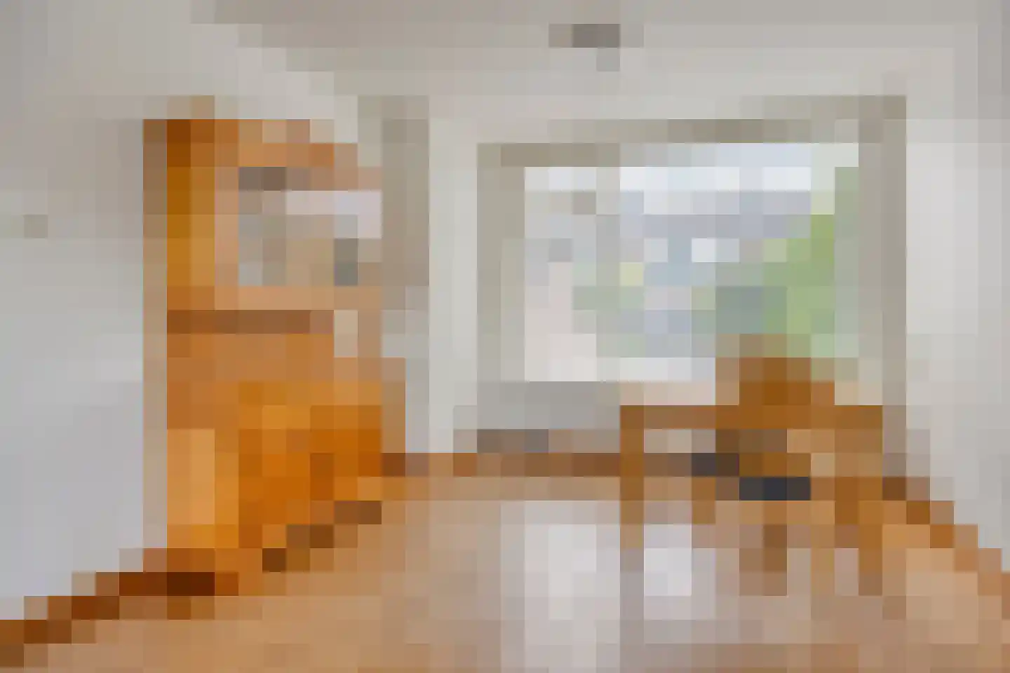 Ds. van Couwenhovelaan 63 Bergschenhoek thumbnail 8