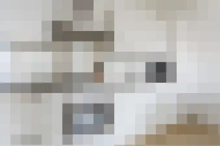 Ds. Van de Woestijnehof 103 Barneveld thumbnail 14