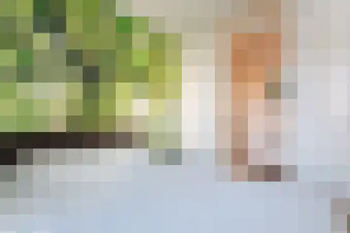Ds. Van de Woestijnehof 103 Barneveld thumbnail 18