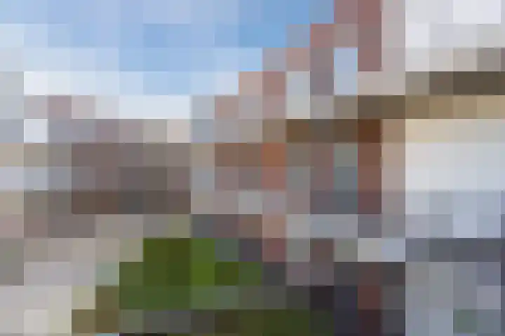 Ds. Van de Woestijnehof 103 Barneveld thumbnail 27