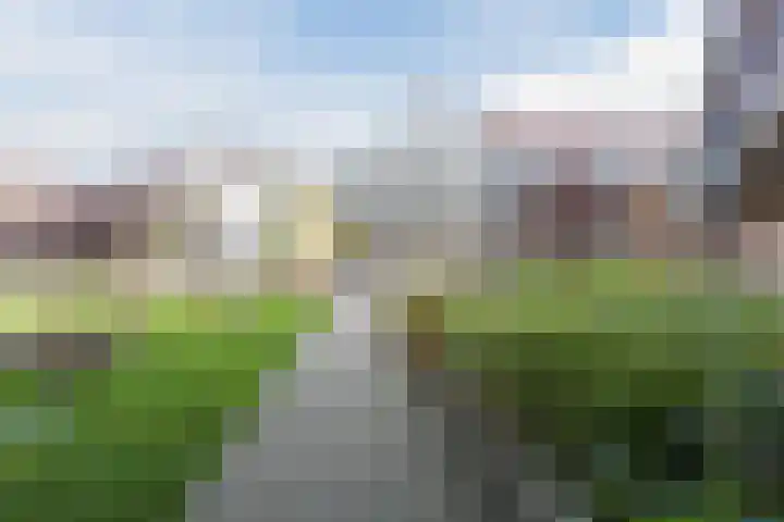 Ds. Van de Woestijnehof 103 Barneveld thumbnail 29
