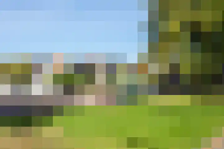 Ds. Van de Woestijnehof 103 Barneveld thumbnail 35