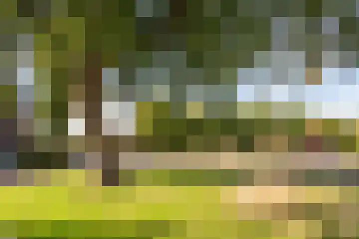 Ds. Van de Woestijnehof 103 Barneveld thumbnail 36