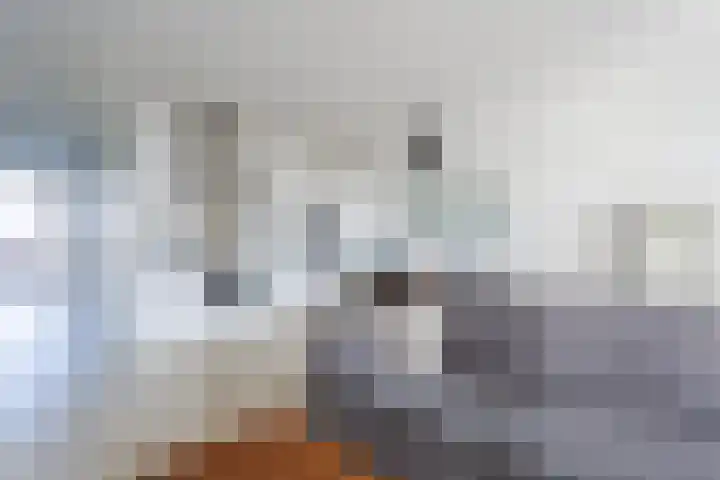 Ds. Van de Woestijnehof 103 Barneveld thumbnail 5